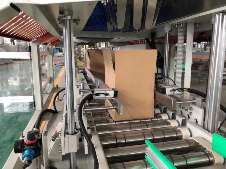 mask and gloves packing cartoning production line