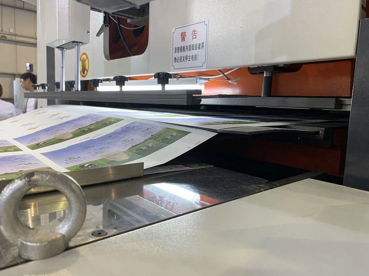 die cutting stripping machine