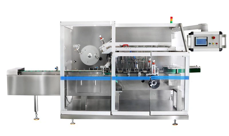 sed dolor training shoes